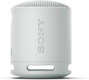 Sony SRS-XB100 Wireless Bluetooth Speaker
